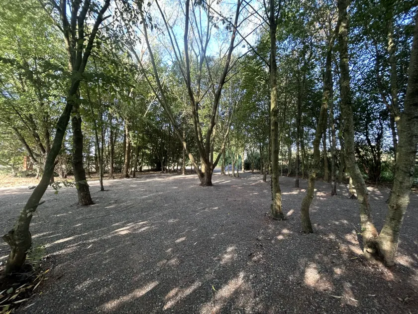 Sous les arbres du bois — Domaine Le Grand Chêne, réception en Sarthe