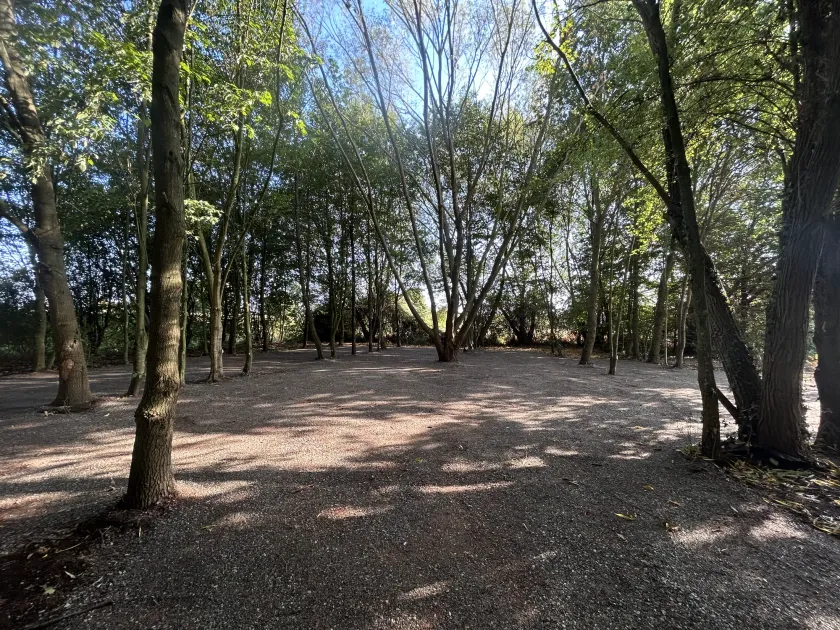 Le bois, au cœur du domaine — Domaine Le Grand Chêne, réception en Sarthe