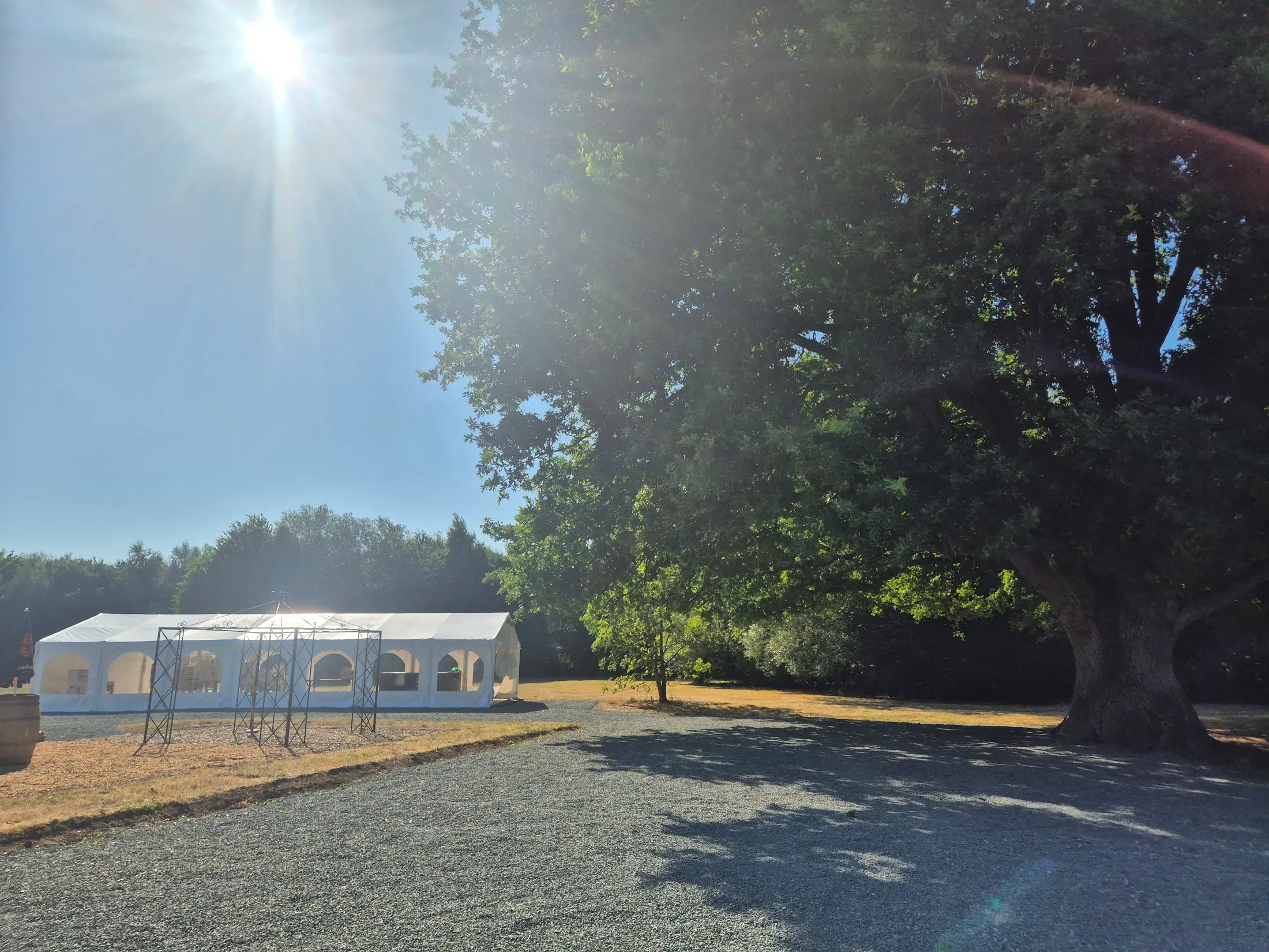 Le chêne de plus de 450 ans qui veille sur le parc et le préau.