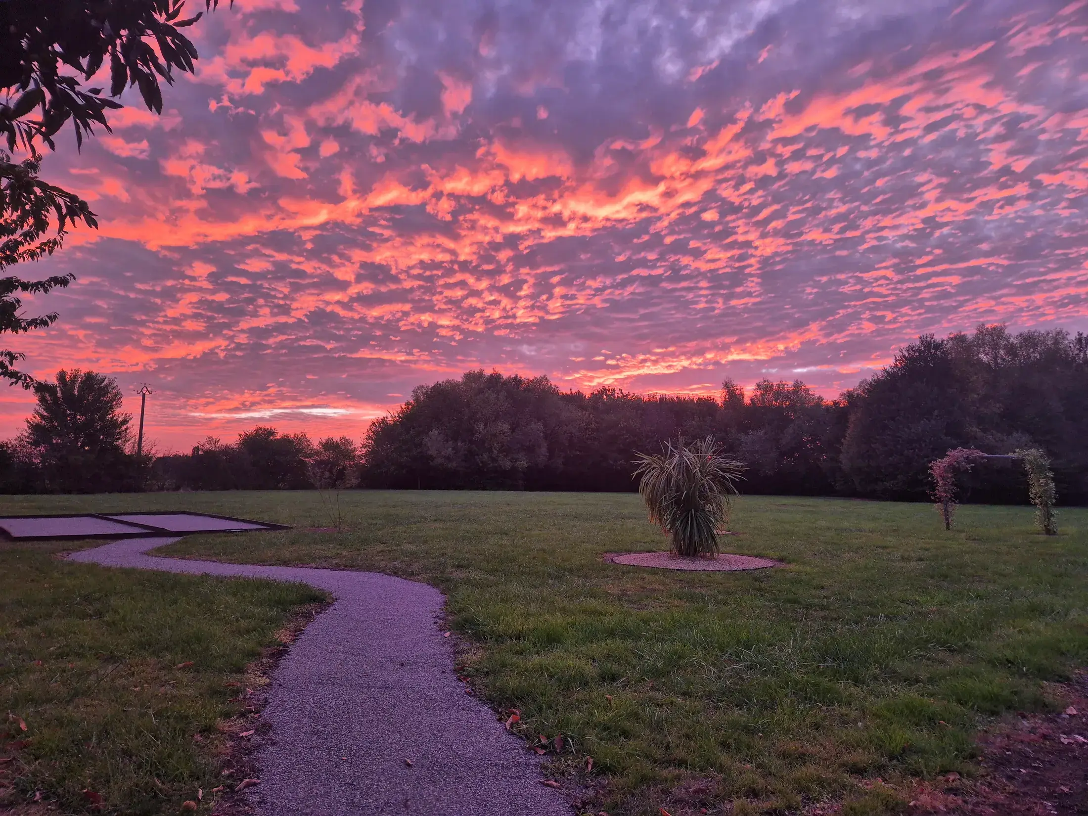 Le parc du domaine au coucher du soleil, en Sarthe